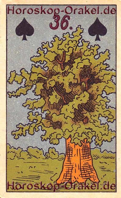 Krebs Horoskop der Baum, Der Baum der Erkenntnis
