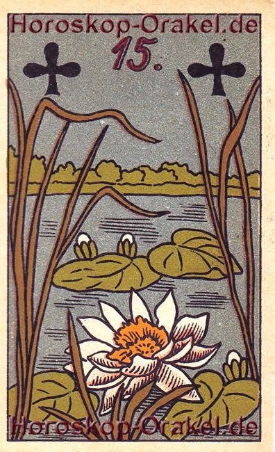 Horoskop Bedeutung die Wasserrose, Glück und Enttäuschungen