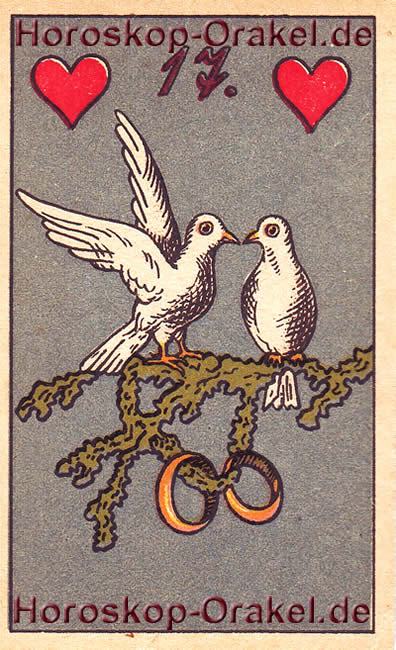 Horoskop Bedeutung die Tauben, Ehe oder Scheidung