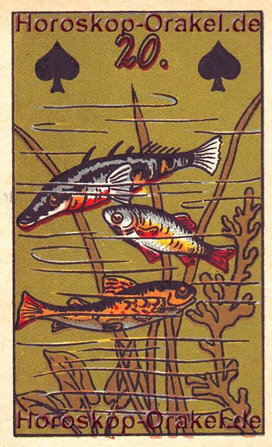 Widder Horoskop die Fische, Großes Glück in allen Lebensbereichen