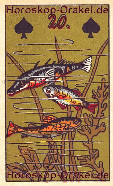 Horoskop Bedeutung der Fische, großes Glück