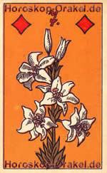 Horoskop Bedeutung Lilien