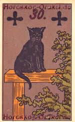 Horoskop Bedeutung Katze